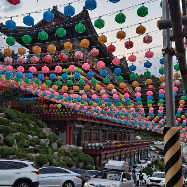 꽃돼지
