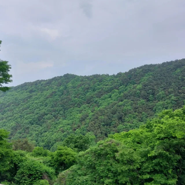 파이팅입니다