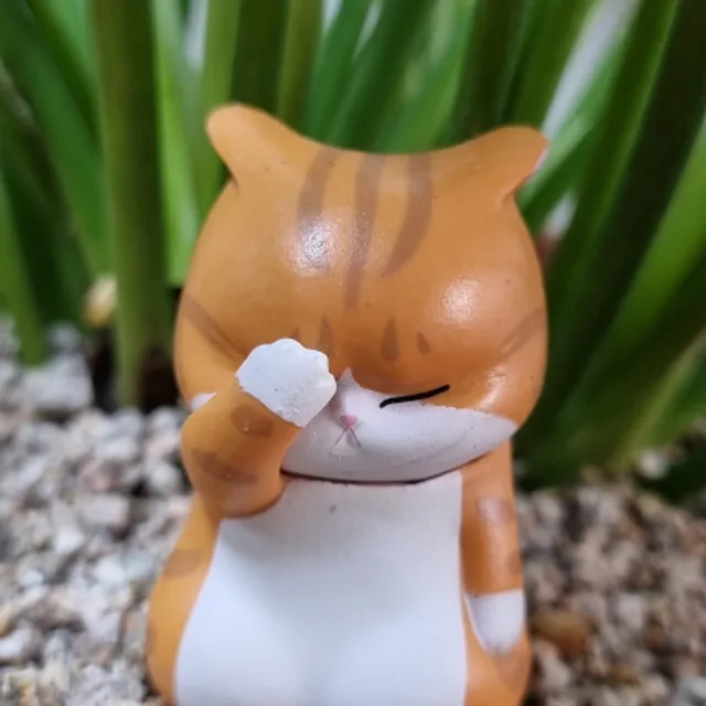 찹쌀고양이주먹