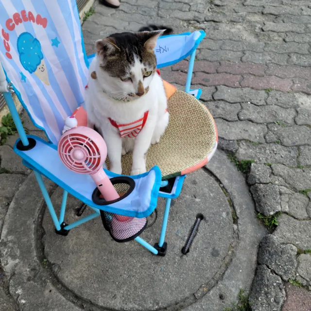 profile