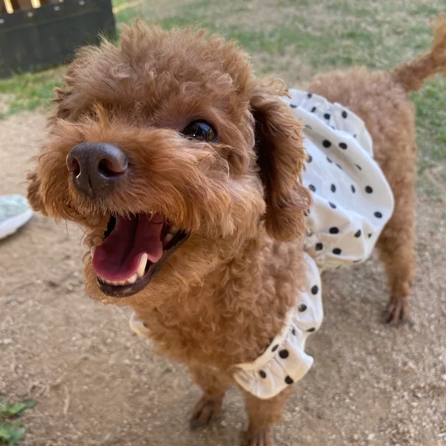 둥둥쓰