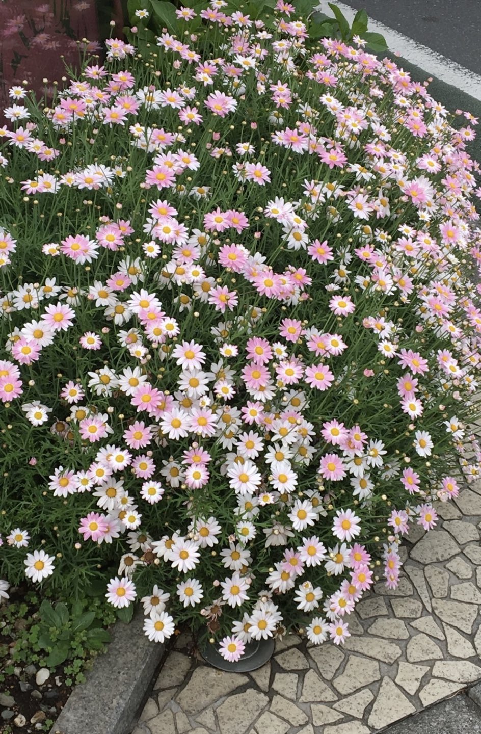 벤방이