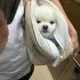 꼬순