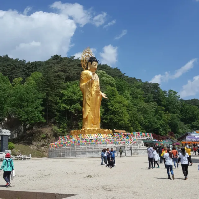 해피바이러스