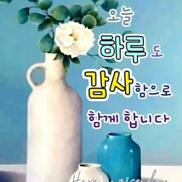 다카라모노