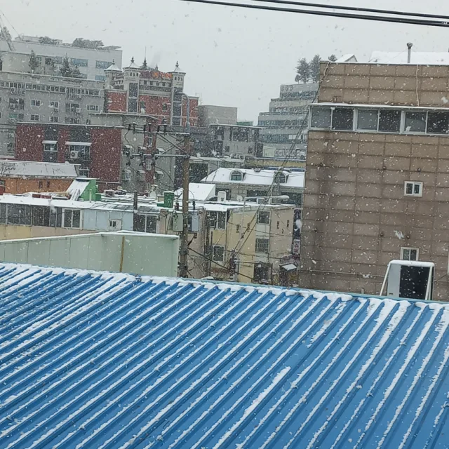 눈보라