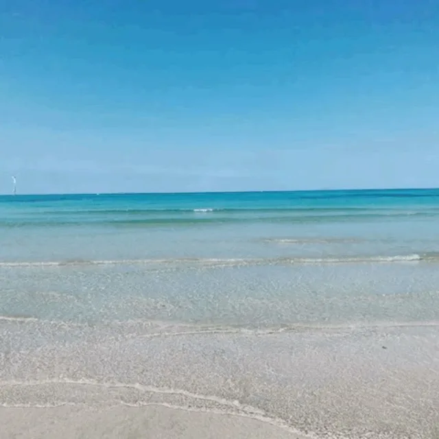 제주도푸른밤