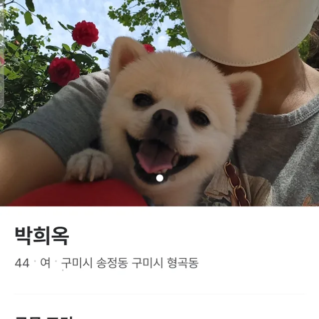 포메라니안