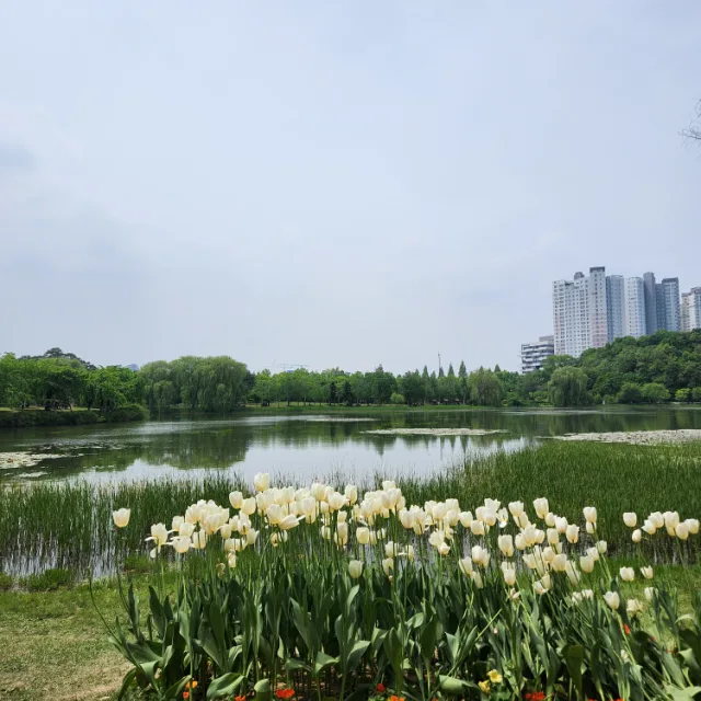 모나리자
