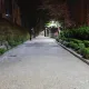 고독친구