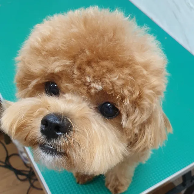 이쁜마녀