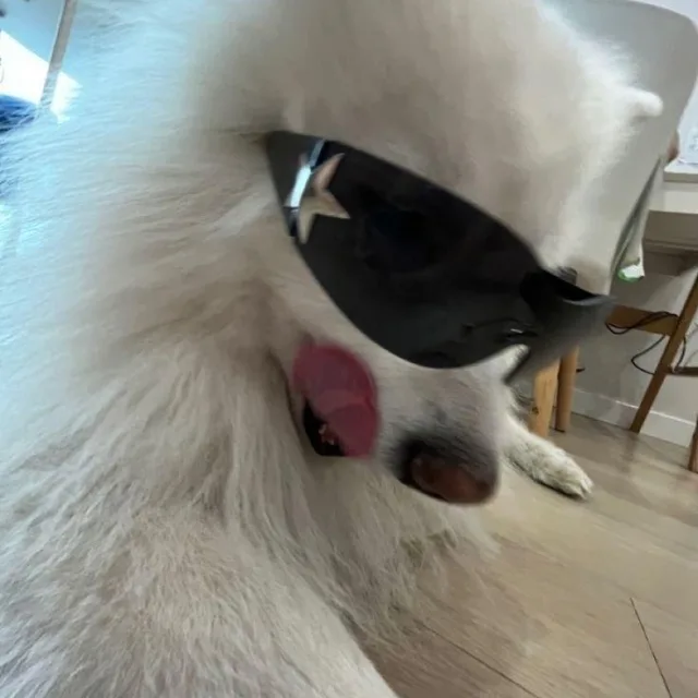 예냐짱
