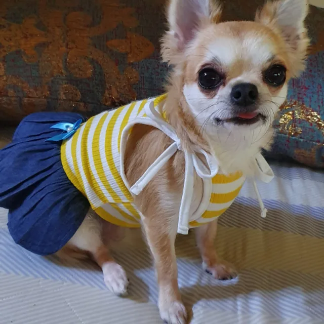 요미