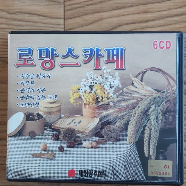솔이