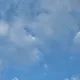 하늘다람쥐