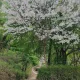 식집사