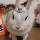 정매직