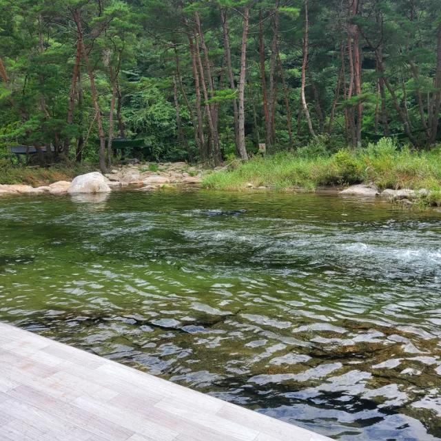 반갑니더