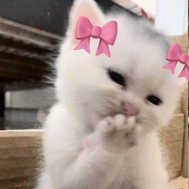 아리
