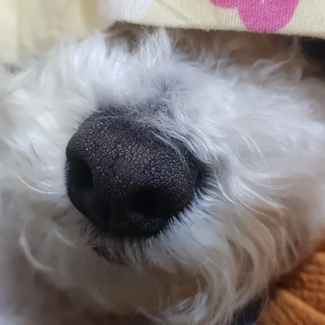 우주