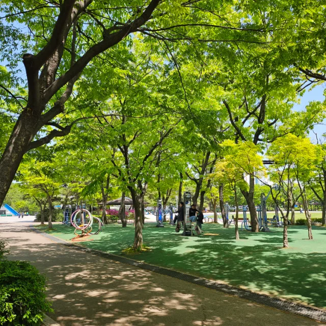 녹차
