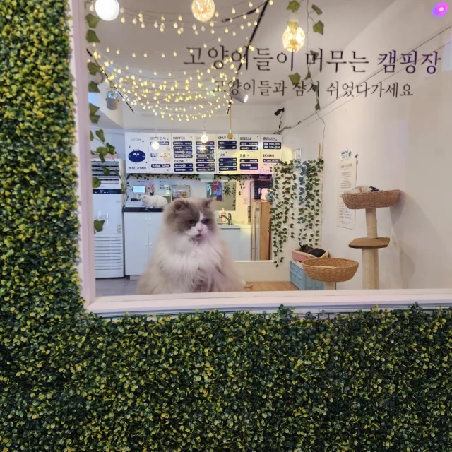 아가몽패밀리