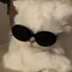 d0doggg