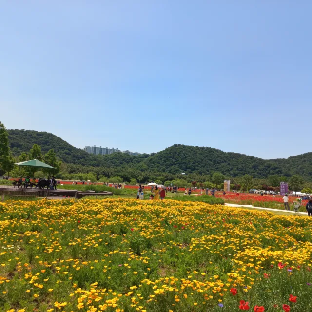 행운가득