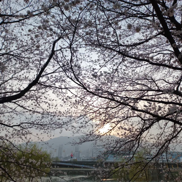 엑스포