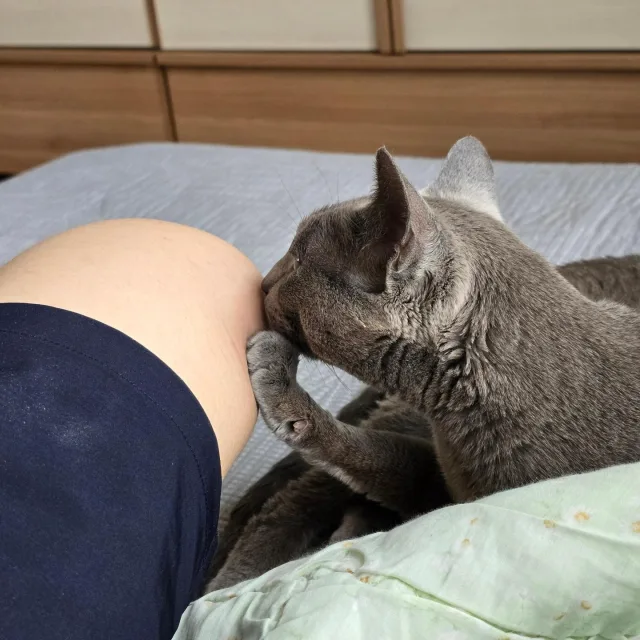 하얀감자