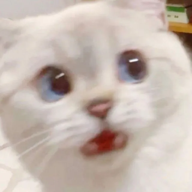 포도