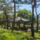 송촌동김군