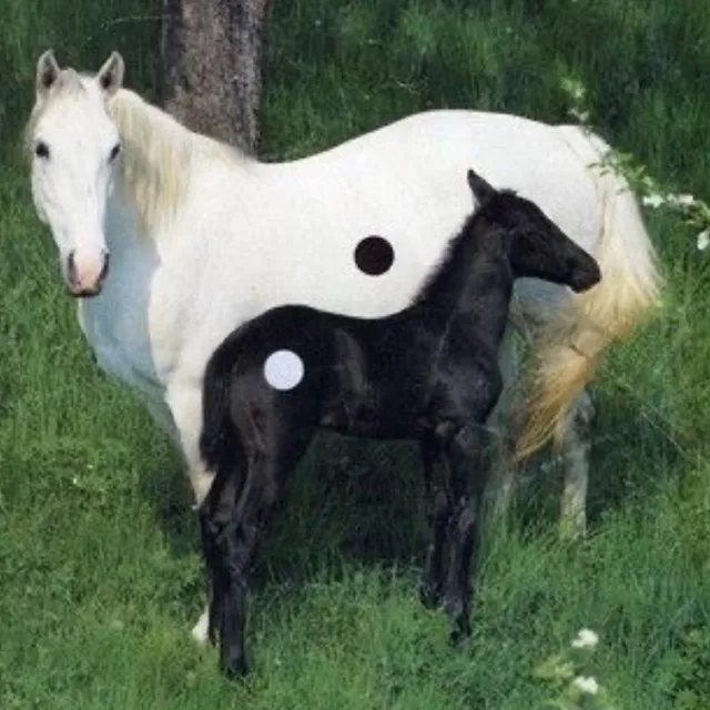 nanan