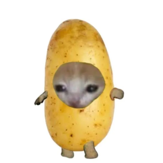 감자