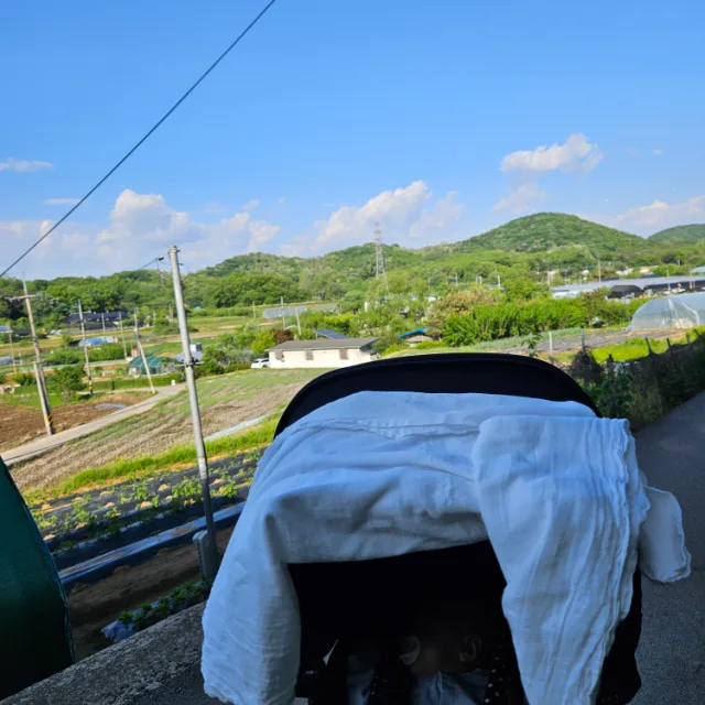 또로사