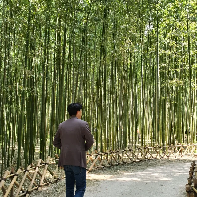 천사