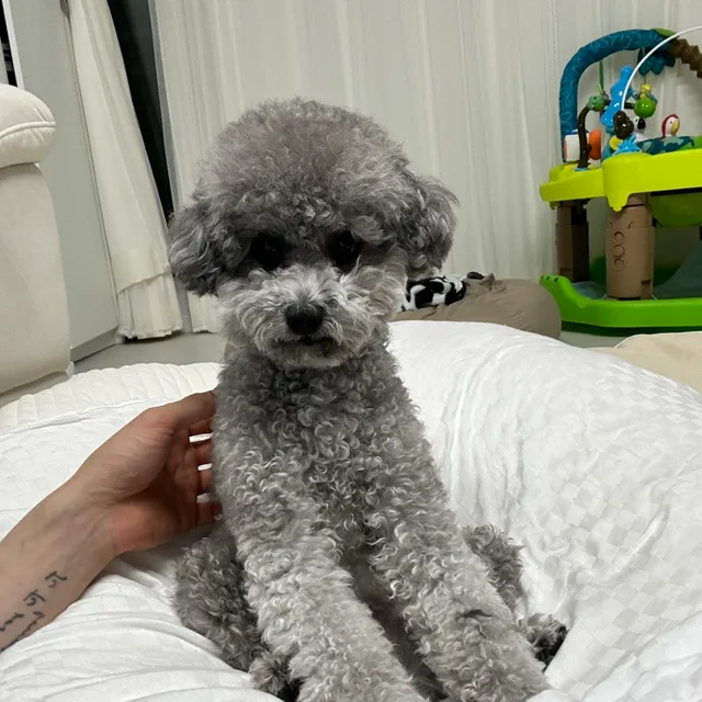 삼콩