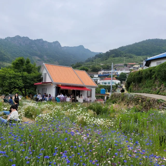 아리고스