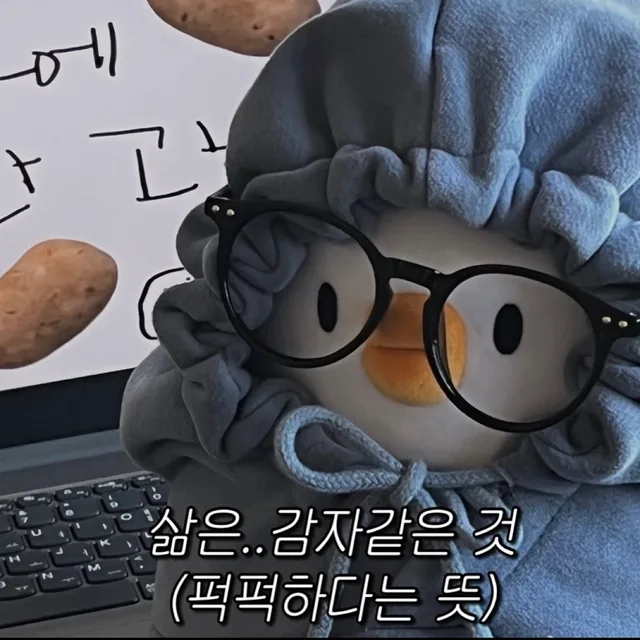 태오
