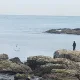 참새와허수아비