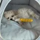 타이어뱅크동해점