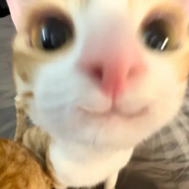 안살건데왜연락함