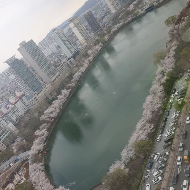 떡개구리