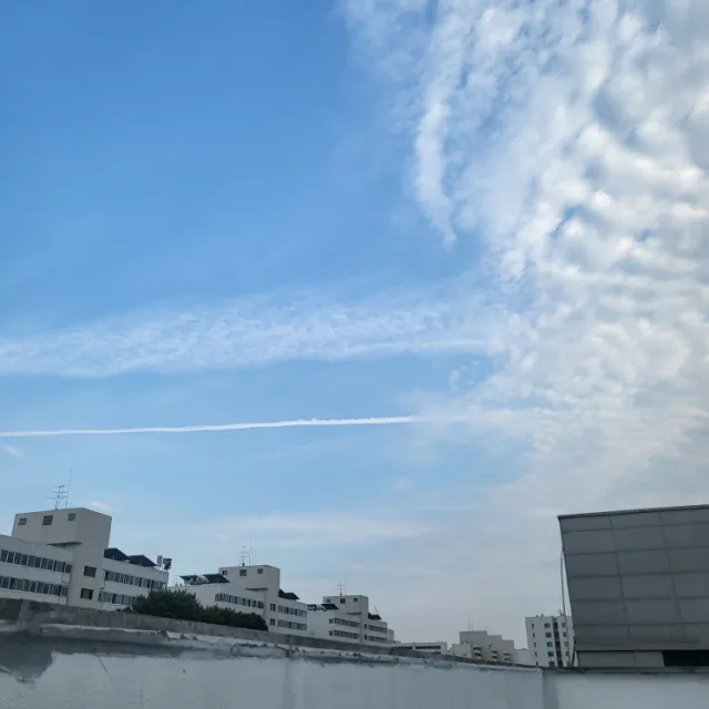 구슬아이스크림