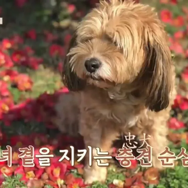 러너