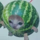 밍밍