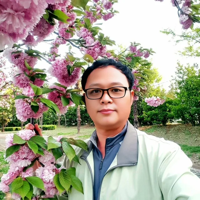 뿌리