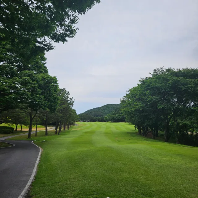 콜라겐