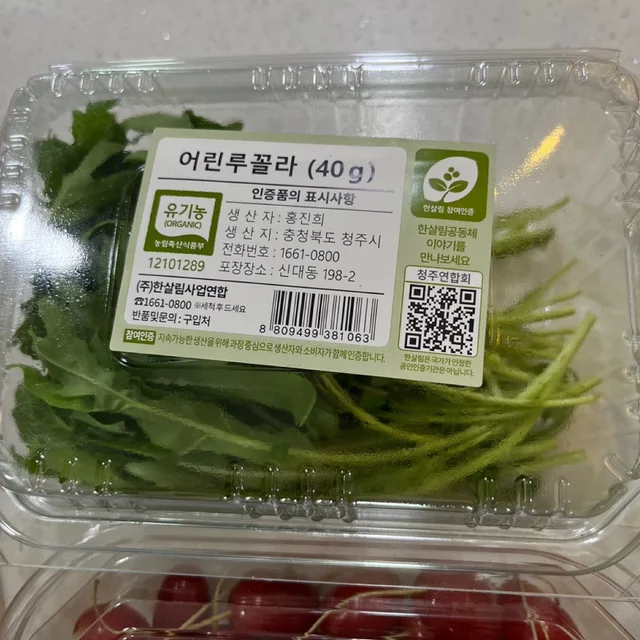 행복한봄