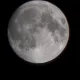 송돈가